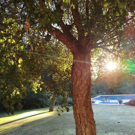 Sotogrande - Estancia En Plena Naturaleza - Abril Экстерьер фото