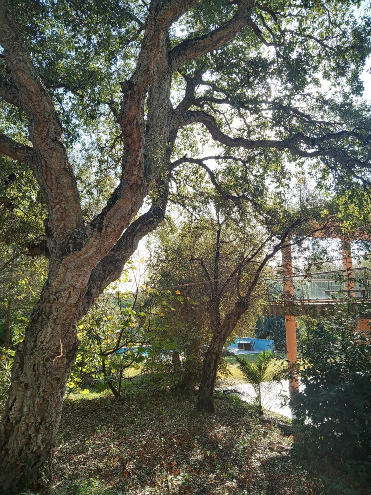 Sotogrande - Estancia En Plena Naturaleza - Abril Экстерьер фото