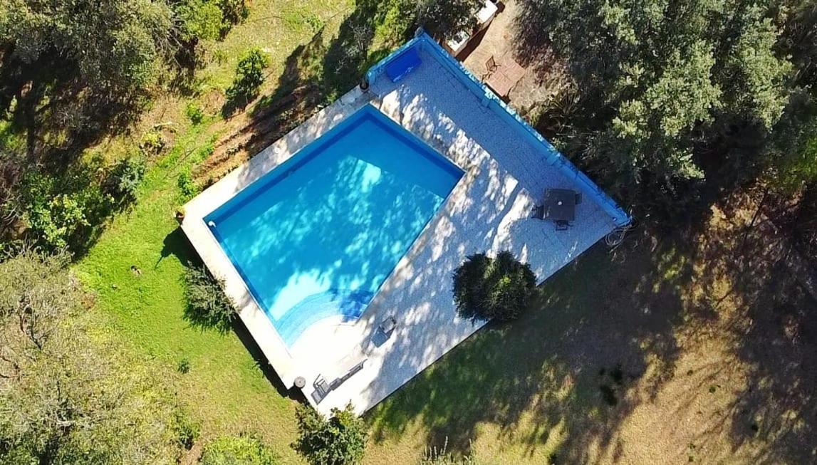 Sotogrande - Estancia En Plena Naturaleza - Abril Экстерьер фото