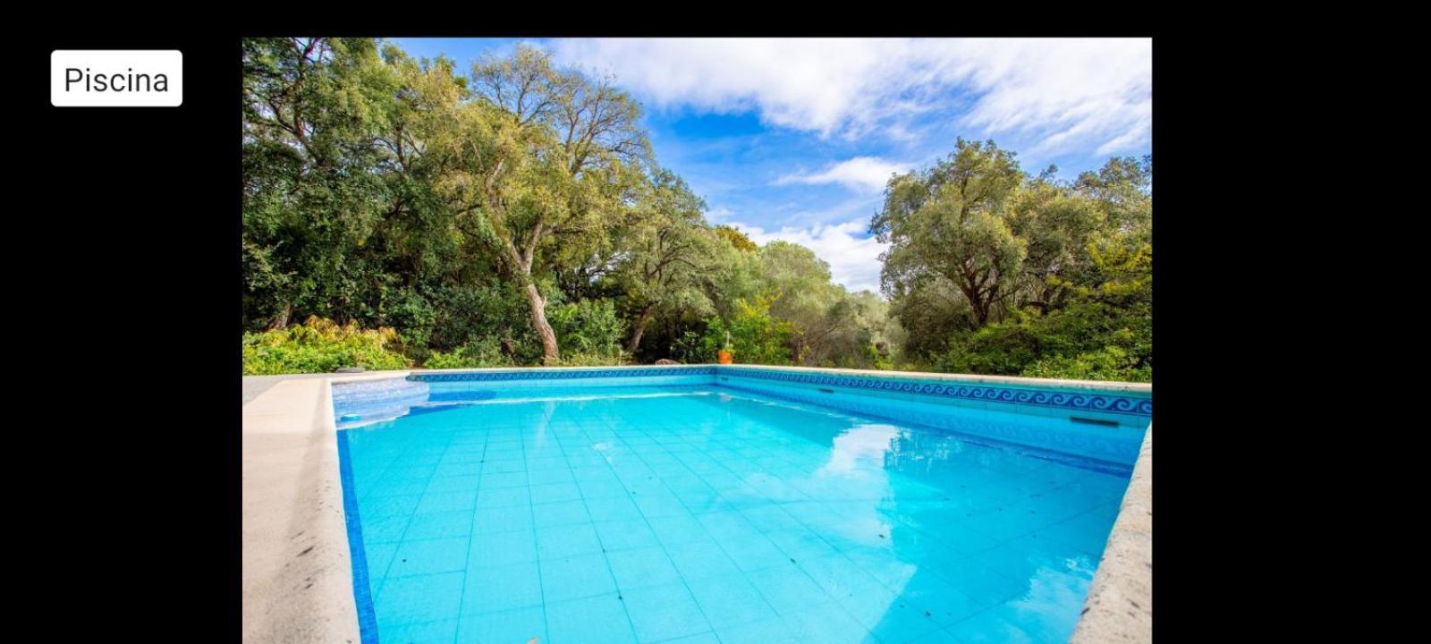 Sotogrande - Estancia En Plena Naturaleza - Abril Экстерьер фото
