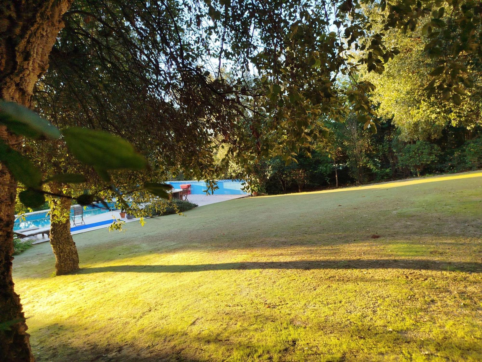 Sotogrande - Estancia En Plena Naturaleza - Abril Экстерьер фото